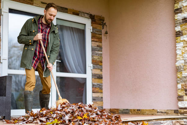 Best Basement Cleanout Services  in Woodville, WI